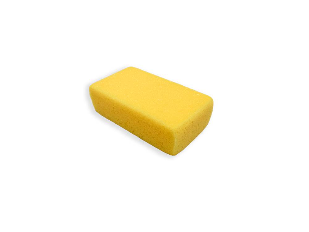 Svamp KGC 5984