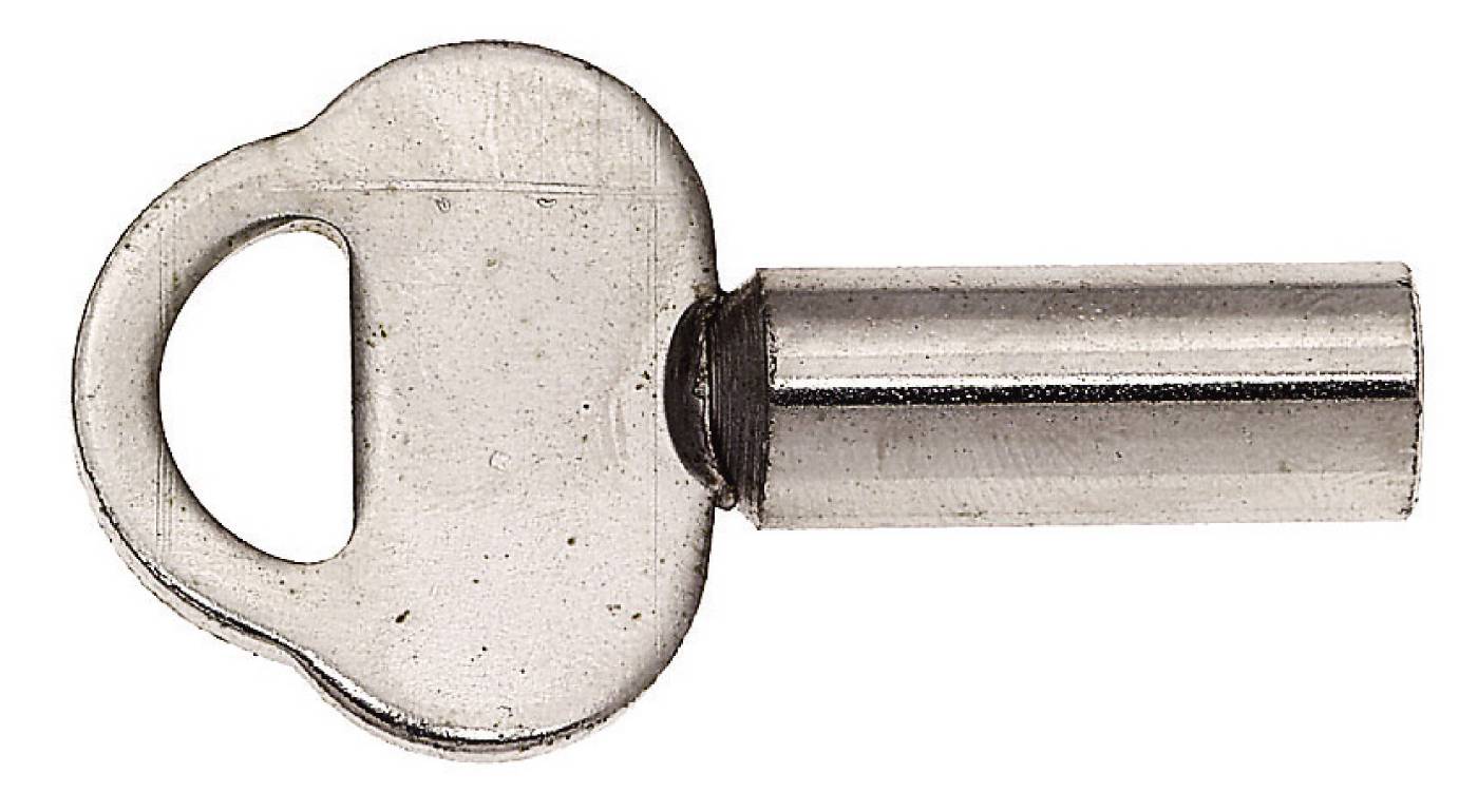 Paniknyckel Assa 451283