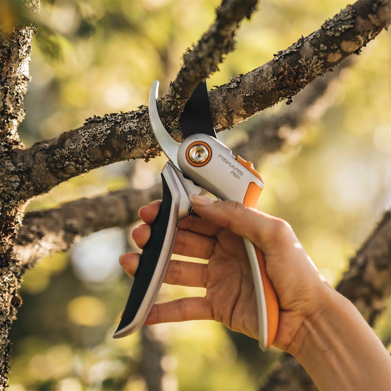 Fiskars sekatörer – bild 3