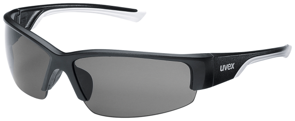 Skyddsglasögon Uvex 9231 Polavision