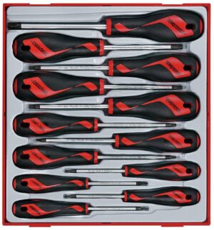 12 delars Skruvmejselsats - TX Teng Tools TTD912TXN